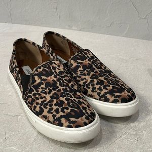 STEVE MADDEN sneakers 👟